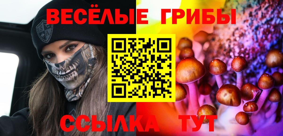 Батайск  продажа наркотиков  Галлюциногенные грибы прущие грибы  Вход с VPN  Галлюциногенные грибы мухоморы 